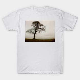 A Tree at Lyme Park T-Shirt